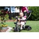 Laste kolmerattaline jalgratas Malplay Kids Twist Rose