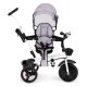 Laste kolmerattaline jalgratas Ecotoys HALL new