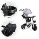Laste kolmerattaline jalgratas Ecotoys HALL new