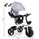 Laste kolmerattaline jalgratas Ecotoys HALL new