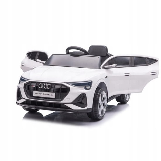 Elektriauto lastele Audi E-Tron QLS-6688, 4x4, valge