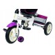 Laste kolmerattaline jalgratas TRIKE AIR, Granaat