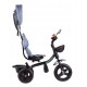 Laste kolmerattaline jalgratas Ecotoys JEANS