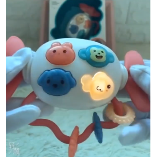 Muzikinis barškutis BABY RATTLE ROSE